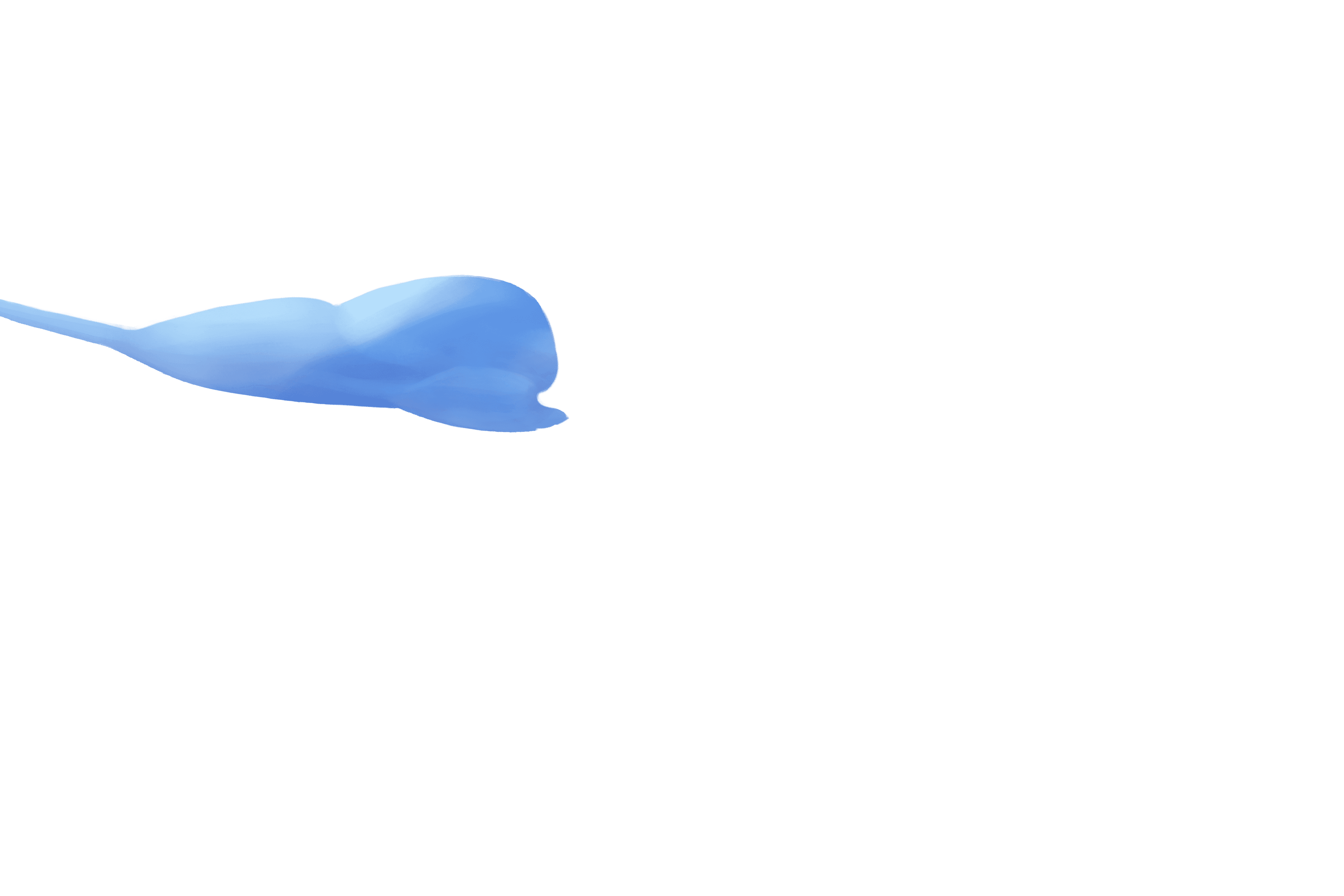 Basket Party Cloud 2